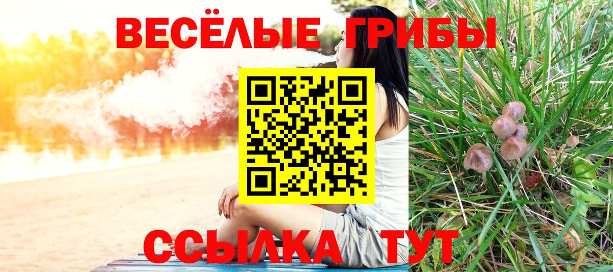 Галлюциногенные грибы Psilocybe  магазин  наркотиков  Усть-Джегута  Вход с VPN 