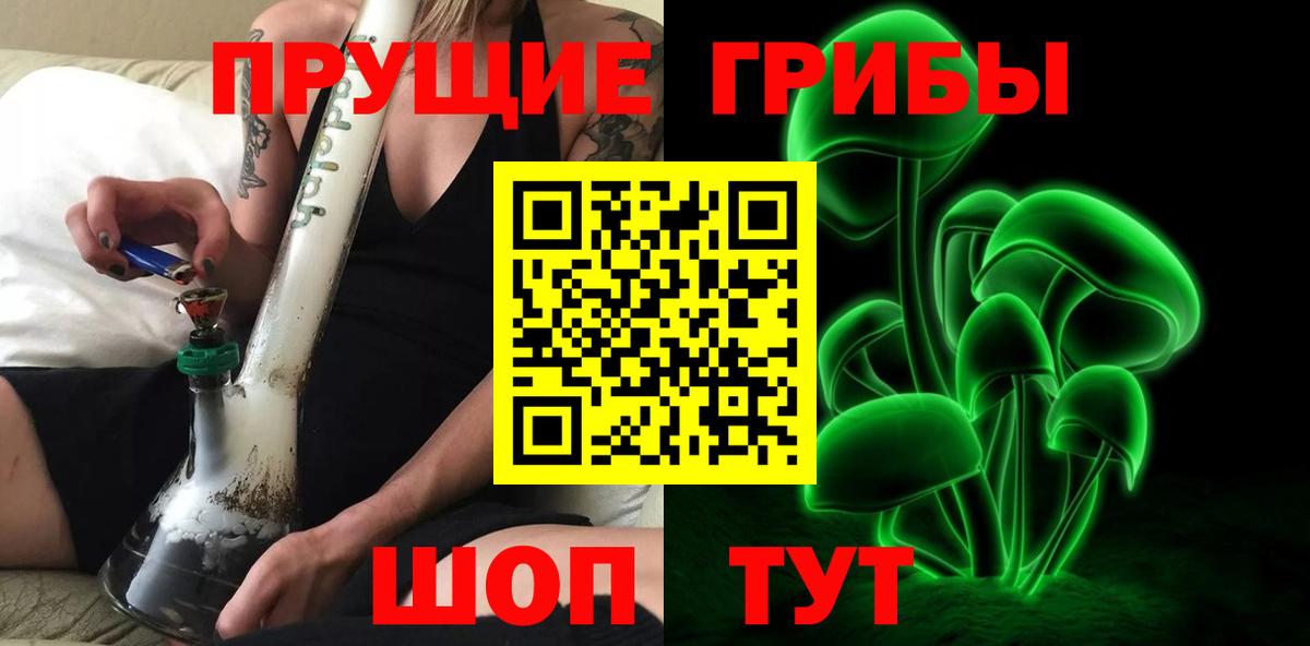 Псилоцибиновые грибы Psilocybine cubensis Усть-Джегута